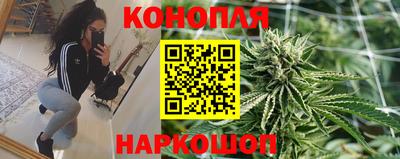 скорость Новозыбков