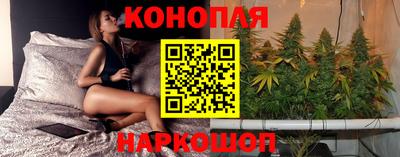 скорость Новозыбков