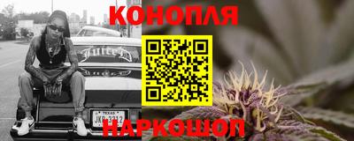 скорость Новозыбков