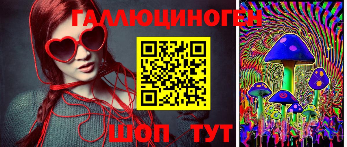 Псилоцибиновые грибы Psilocybe Сертолово